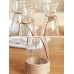 وعاء زجاجي زخرفي بسيط شفّاف مع حبل من نبات القنّب