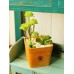 وعاء من النباتات العصارية الأصطناعية ذات التصميم المنعش والمميز