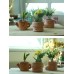 Cute Shape Cut-Out Useful Flower Pot