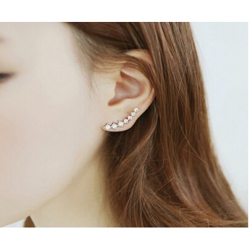 أقراط رائعة تصميم جميل 